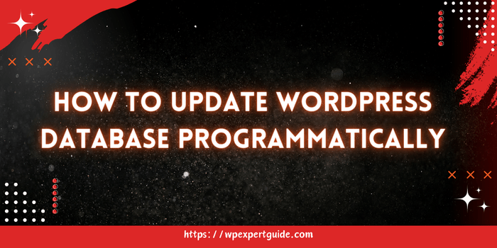 How to Update WordPress Database Programmatically